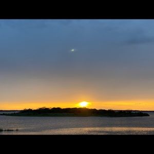 Meet your Posher, Donald